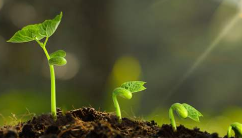 土壤調(diào)查 土壤調(diào)查